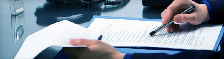 Offer Document by Global Trustcapital Finance Pvt. Ltd.